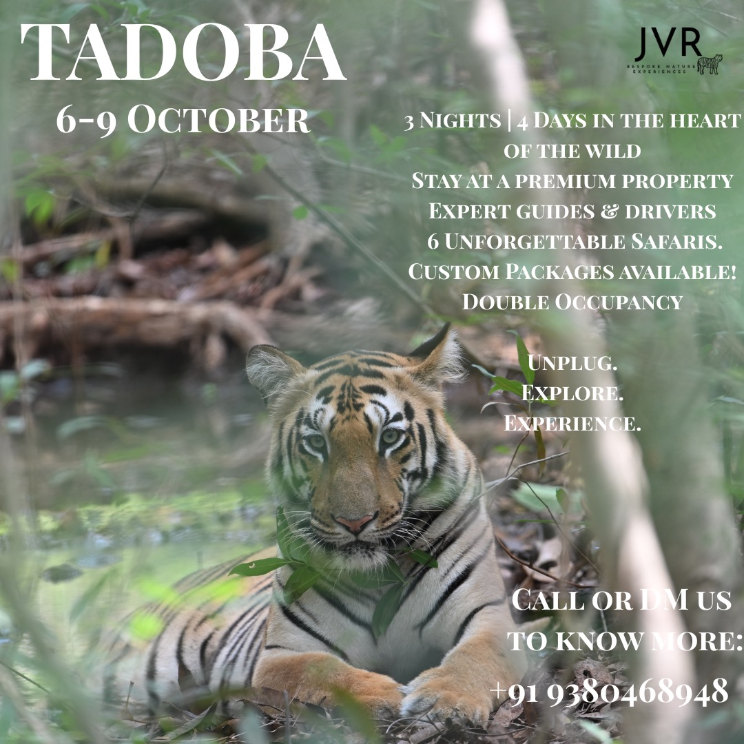 TADOBA