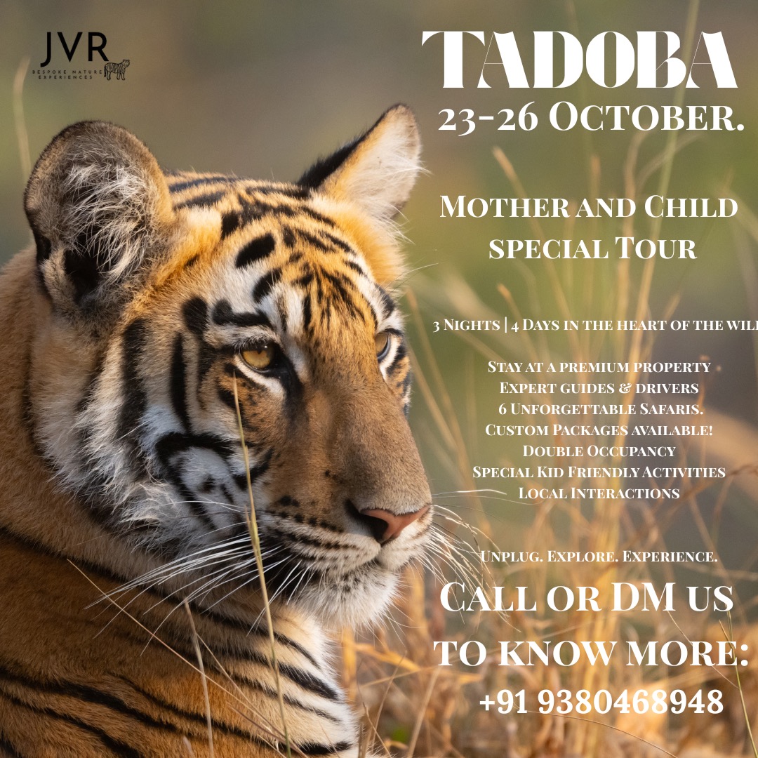 TADOBA